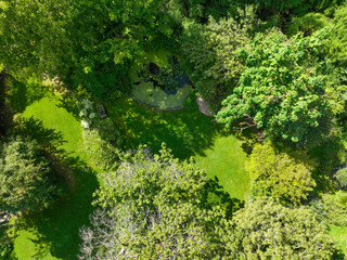 English green garden multiple type of trees and plants during sunny summer season