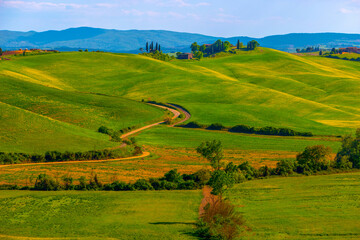 Amazing Tuscany panoramic landscape with green rolling hills with trees in spring, Italy.