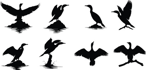 Silhouette of cormorant birds standing, spreading wings, perched on rocks and branches, black seabird vector illustration, coastal wildlife graphic design collection