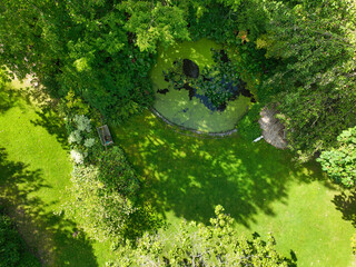 English green garden multiple type of trees and plants during sunny summer season