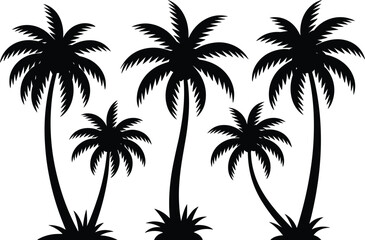 Silhouette of tropical palm trees isolated on white background, summer beach decoration, exotic jungle nature design, black palm tree vector illustration art