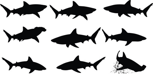 Silhouette of shark swimming, hunting, attacking, marine predator vector illustration, ocean sea animal dangerous wildlife aquatic fish graphic design collection