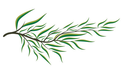 Summer Spring Petal Branch Tree Green Leafy Contour Decorative Illustrator Art
