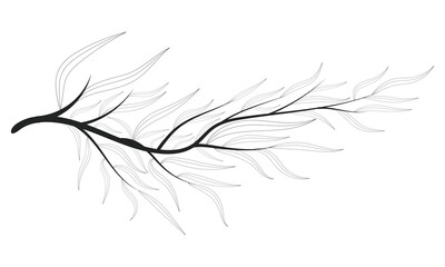 Doodle Petal Branch Summer Spring Tree Leafy Contour Decorative Illustrator Art