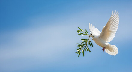 Fototapeta premium A beautiful white dove soaring through a clear blue sky carrying an olive branch in its beak symbolizing peace and hope for a better future