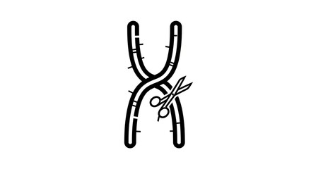 Chromosome modification scissors illustration