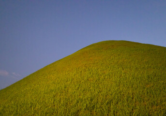 a lonely hill against the evening blue sky