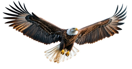 Fototapeta premium Bald eagle in flight isolated on transparent background, showcasing its majestic wingspan, brown feathers, white head, and yellow beak, a symbol of freedom and power