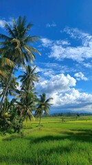 Fototapeta premium Lush green rice fields with coconut trees under a bright blue sky