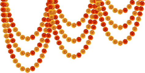 Marigold flowers hanging festive design element