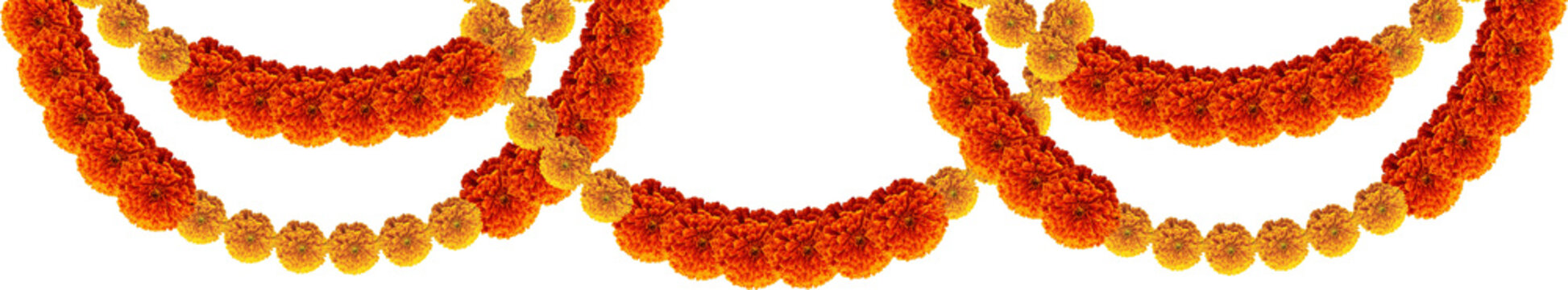 Marigold flowers hanging design top element