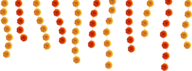 Red and orange marigold flowers hanging abstract strips festive element