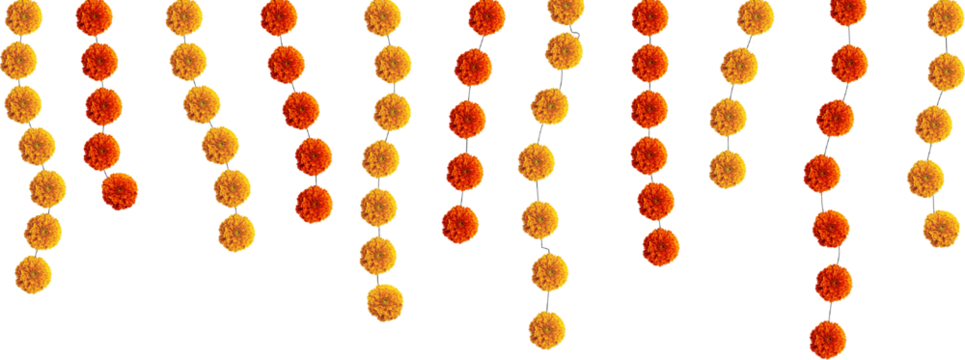 Red and orange marigold flowers hanging abstract strips festive element - Powered by Adobe