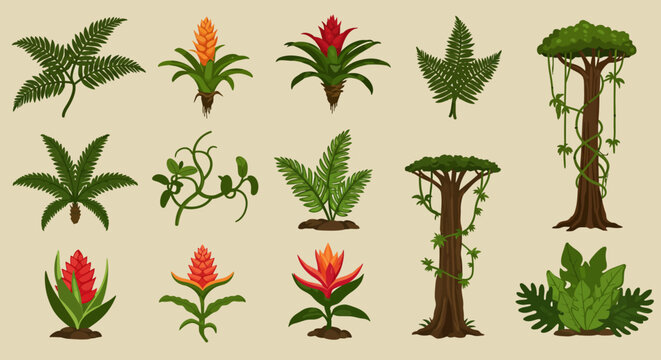Collection of various illustrated tropical plants ferns and trees against a plain background