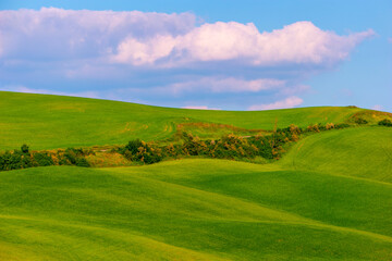 Amazing Tuscany panoramic landscape with green rolling hills with trees in spring, Italy.