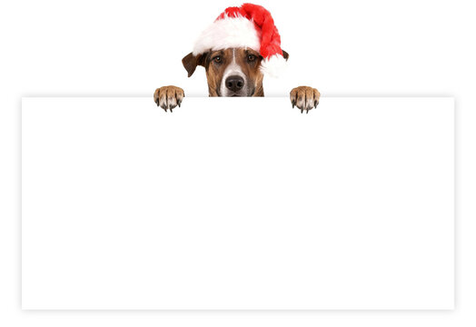 Weihnachtshund Banner &ndash; Weihnachtsgru&szlig; mit Hund als transparentes PNG