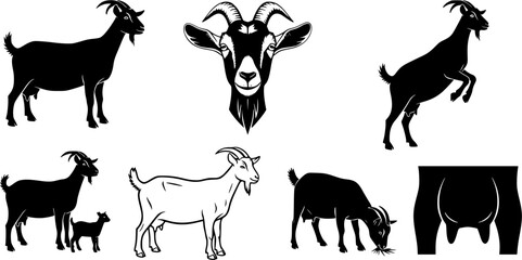  Saanen goat, Saanen goat silhouette, Dairy goat, Dairy goat silhouette, Goat, Goat silhouette