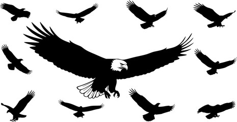 Obraz premium Eagle Silhouettes, Flying Eagle Silhouette, Bald Eagle Silhouette, Eagle , Eagle Vector Illustration 
