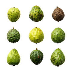 Fototapeta premium Cupuacu A Collection of Natural Realistic Fruits in Different Ages PNG