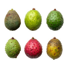 Cupuacu Fresh Ripe and Unripe Stages Natural Realistic Fruit Isolated