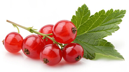 Red Currants with leaves on white Background