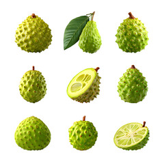 Cupuacu Fruit A Set of Natural Realistic Different Age Isolated PNG