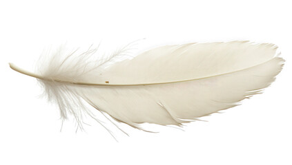 A delicate white feather isolated on transparent background, showcasing its intricate structure and soft texture, creating a sense of lightness and ethereal beauty