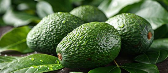 Fresh avocados on leaves with water drops