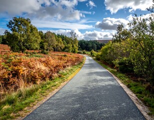 Winding road through autumnal landscape