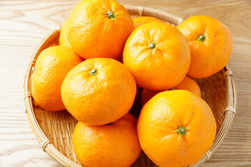 和歌山のミカン