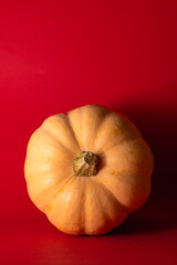 Minimalist photo of a single pumpkin on a red background. The harvest squash is placed in the middle of the frame, leaving negative space on the left.