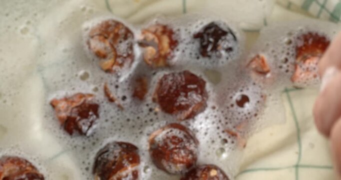 Soap nuts fall from the hand into water with bubbles.