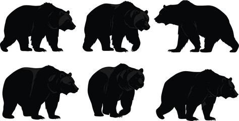 Collection of bear silhouette vector illustrations showing walking poses, wildlife animal movement, forest predator design, nature art for decoration