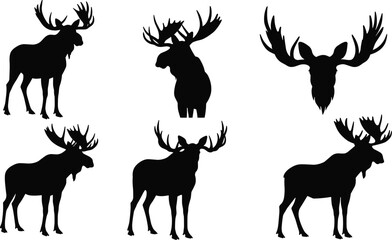 Collection of moose silhouettes with large antlers in various poses and orientations, isolated on white background for wildlife, hunting, and nature themes