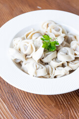 Close-Up of Pelmeni Dumplings on a White Plate
