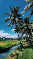 Obraz premium Lush rice paddies, palm trees, and a stream under a vibrant blue sky with puffy clouds