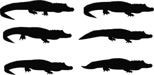 Set of six crocodile and alligator black silhouettes in different poses, reptile wildlife vector illustration for nature, zoo, and education design