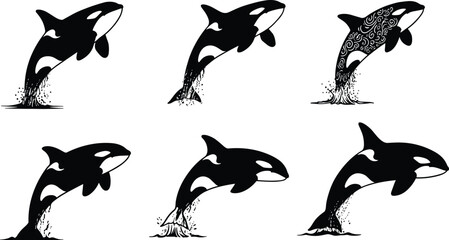 Obraz premium Set of stylized orca whale silhouettes leaping with splashes, decorative patterns, black and white marine animal vector for ocean wildlife themes