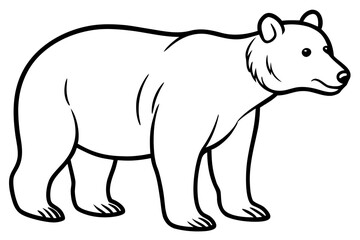 Fototapeta premium vector illustration of a bear