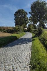 Summer view of the 'Oude Kwaremont' Climb, well known from the Tour of Flanders bike race. It is a cobblestoned hill near Kluisbergen in the Flemish Ardennes of Belgium.