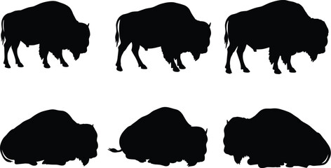 Silhouette collection of wild bison animals in black vector style, isolated buffalo shapes for wildlife, nature, decoration, logo, design