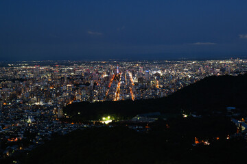夏の大倉山から見た札幌市街の夜景