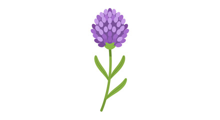 Fototapeta premium Delicate purple wildflower with vibrant petals and graceful green stem illustration