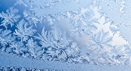 Fototapeta premium Intricate ice crystals form fernlike patterns on a frosted window pane