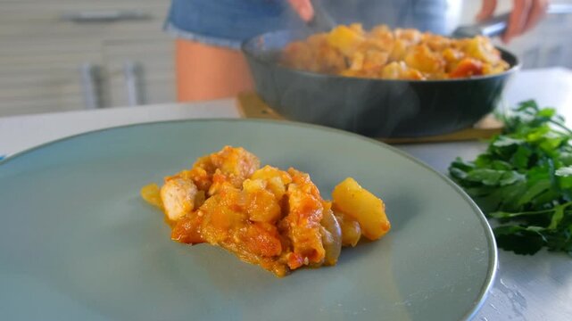 Woman serving cooked vegetables potatoes and chicken meat stew on plate on kitchen. Culinary techniques, homemade preparing healthy meal cook meat food, organic cuisine from fresh ingredients.