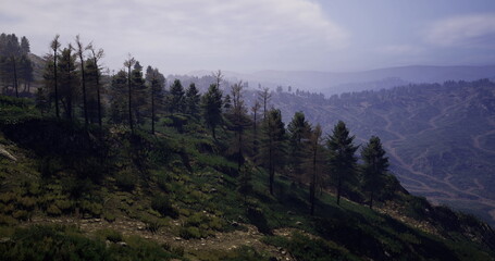 Obraz premium Pine trees line a verdant hillside while distant mountains loom under a bright sky. The peaceful nature setting invites exploration and appreciation of the outdoors during daylight.