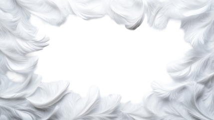 White Feathers on Transparent Background