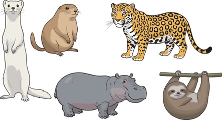 Cartoon illustrations of jaguar, sloth, prairie dog, weasel, hippopotamus in playful poses, ideal for education, wildlife, zoo, and vector design