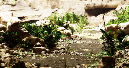A vibrant pathway is carved through rocks and lush greenery, showcasing natures beauty. Sunlight illuminates the scene, enhancing the colors and textures of leaves and stones.