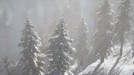 In a winter wonderland, tall evergreen trees stand majestically, cloaked in a thick layer of snow, as gentle flakes fall from the gray sky, creating a serene and magical atmosphere.